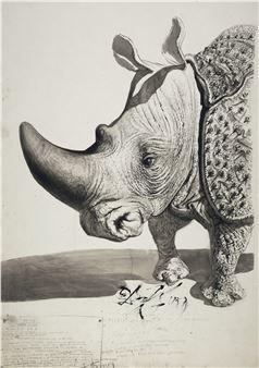 Rhinocéros (recto); Etude pour Rhinocéros (verso